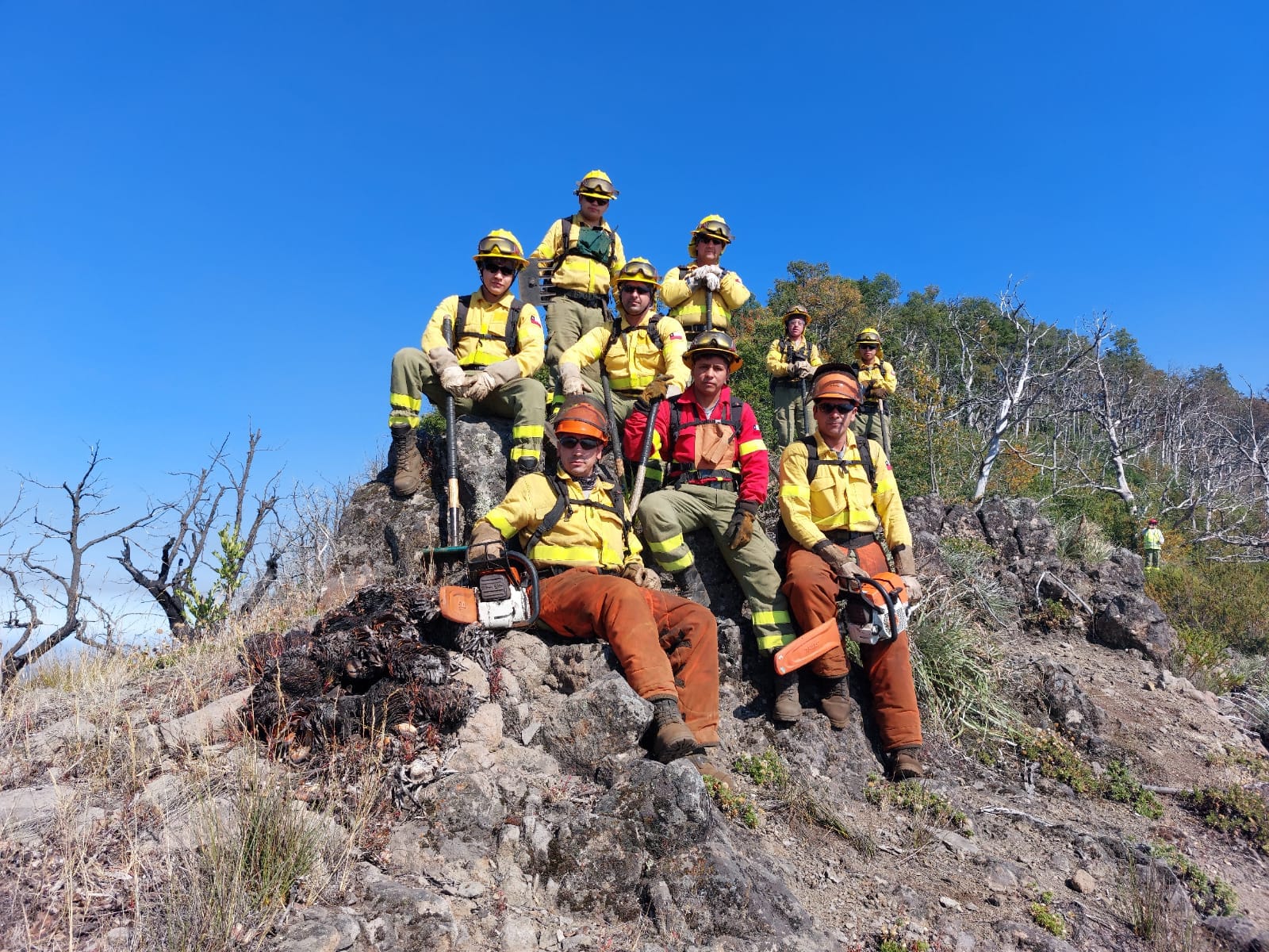 737be400d60a93ae857d21c28dcc06d8