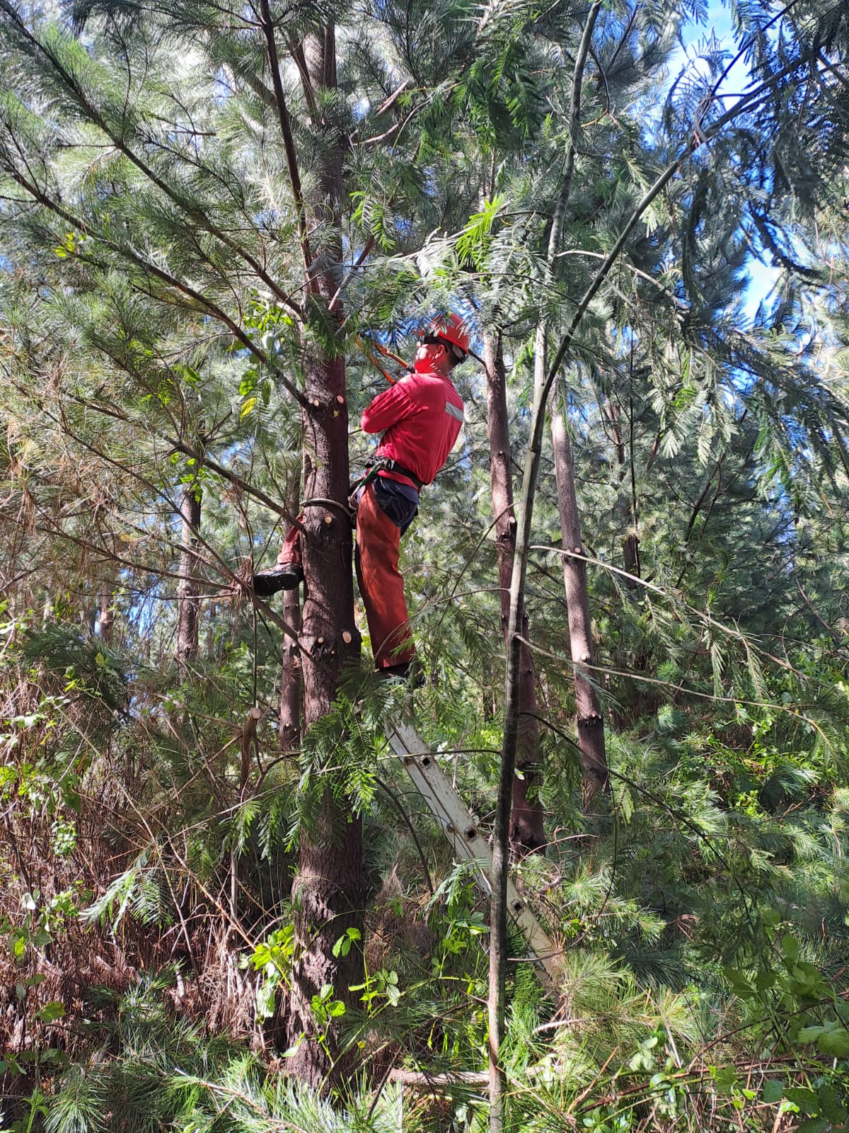 9a4ae0f07dcb8fa0978d1c5e24cb7acb